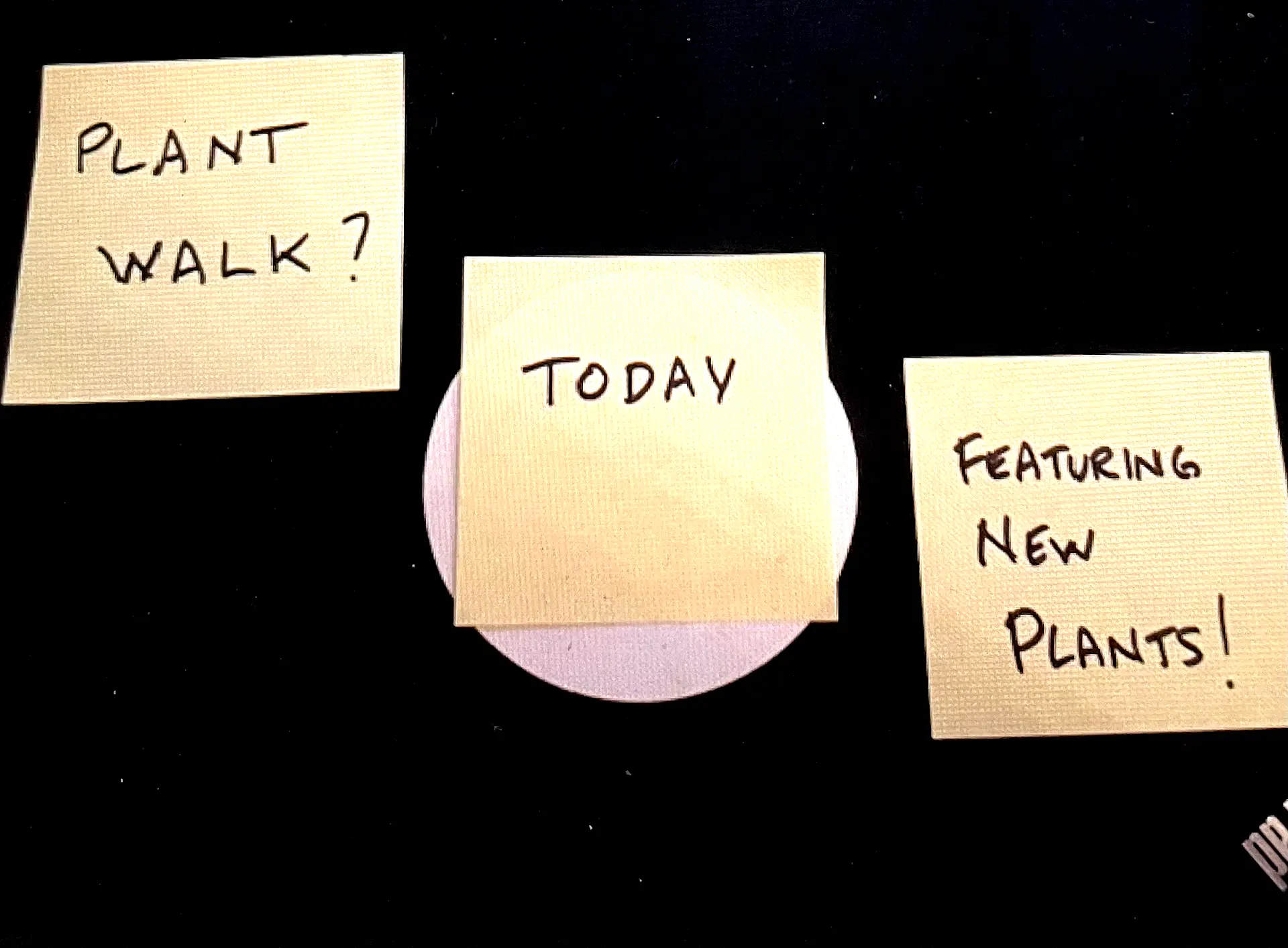 Post-it of options for a nice walk through a garden, symbolizing taking a moment of reflection, meditation, and fresh air. 