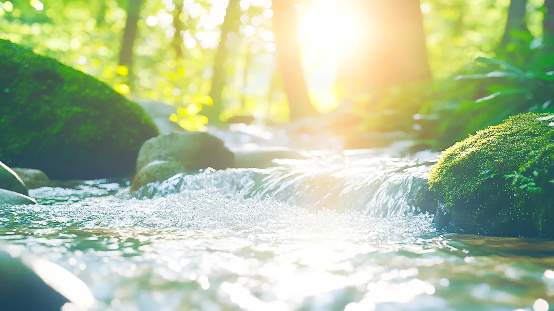 Sunlight shining through trees onto a peaceful forest stream, symbolizing natural stress relief and cortisol balance – Chronic Health Wisdom