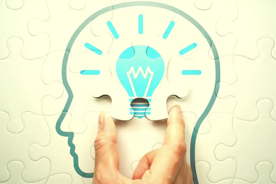 Hand placing a final puzzle piece shaped like a lightbulb into a head silhouette, symbolizing brain health, insight, and menopause education – Chronic Health Wisdom