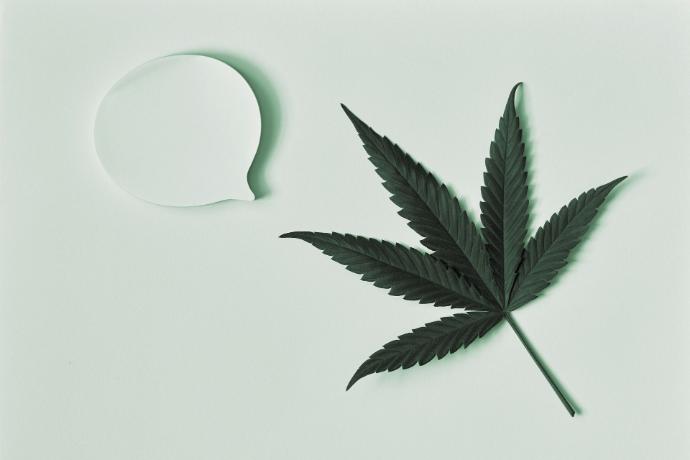 cannabis for chronic conditions