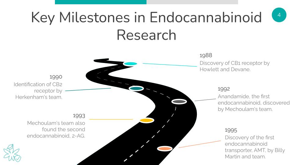 Key Milestones in Endocannabinoid Research