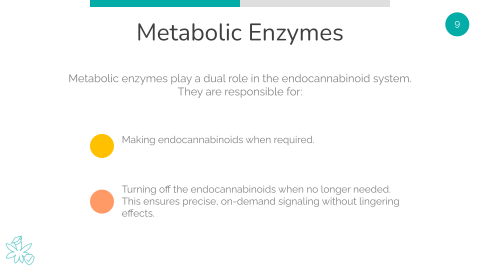 Metabolic Enzymes