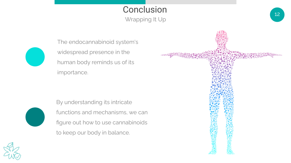 Wrapping Up the Endocannabinoid System