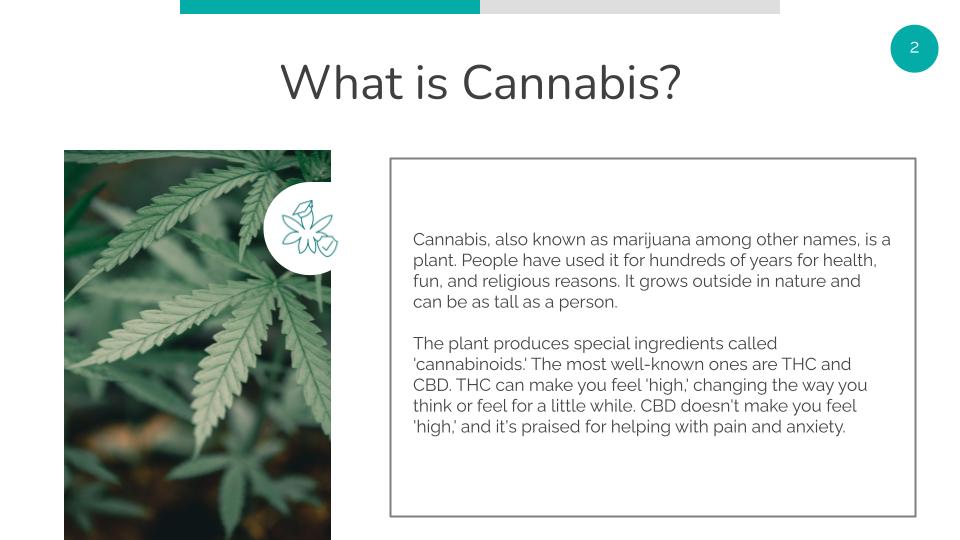 What is cannabis?