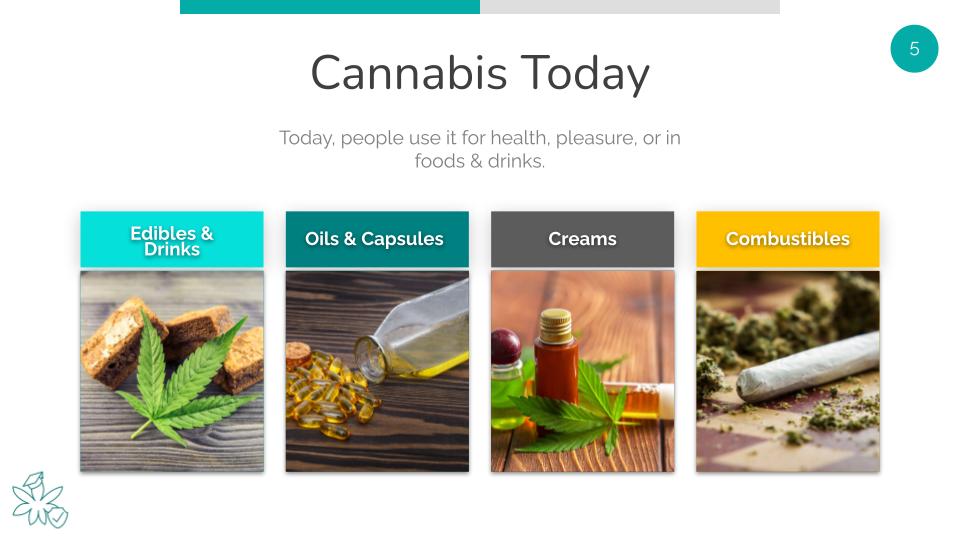 Cannabis Today