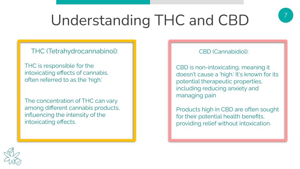 Understanding THC and CBD