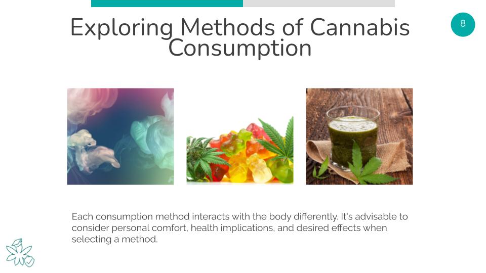 Exploring Methods of Cannabis Consumption