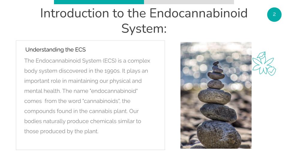 Introduction to the Endocannabinoid System